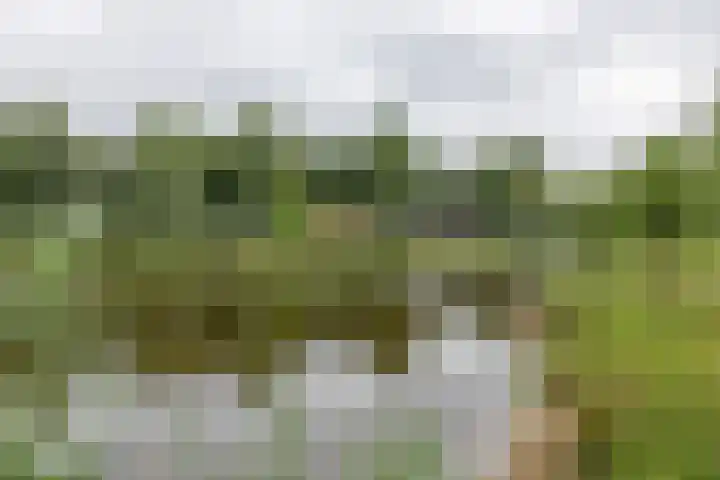 Hoekweg 18 Vroomshoop thumbnail 48