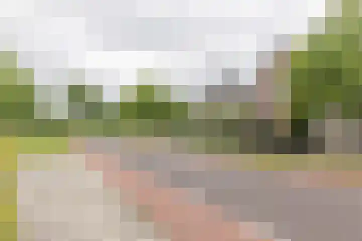 Hoekweg 18 Vroomshoop thumbnail 49