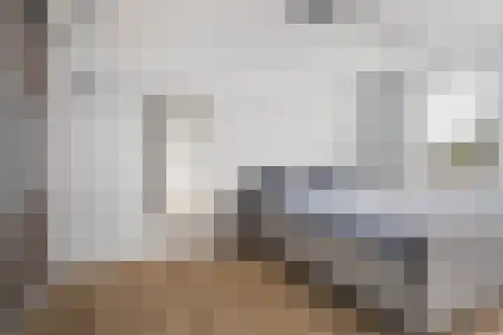 Hoekweg 18 Vroomshoop thumbnail 6