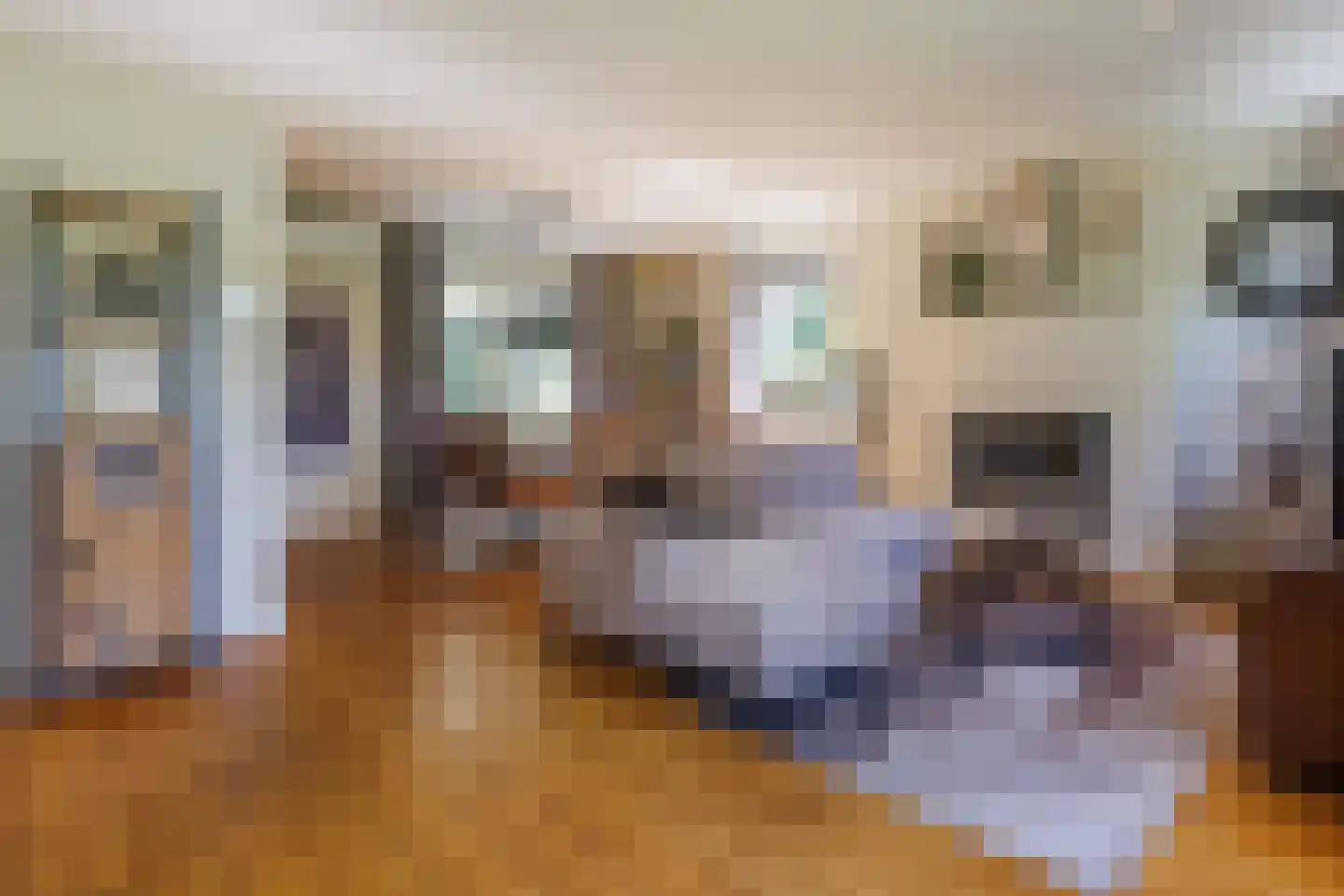 Hoekweg 24 Vroomshoop thumbnail 10