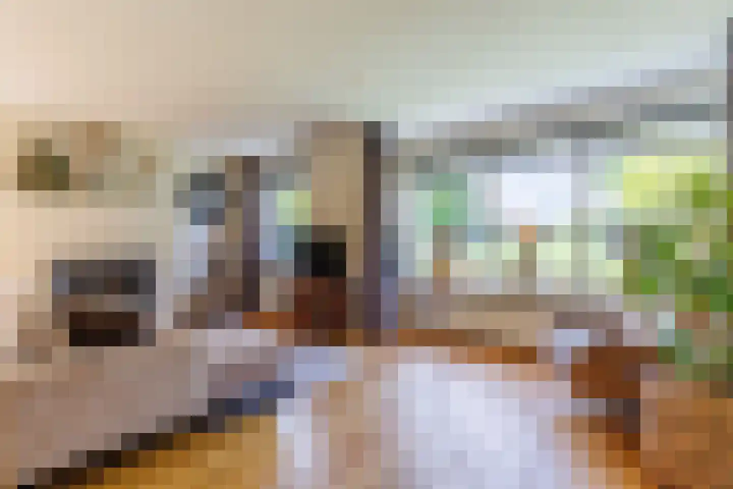 Hoekweg 24 Vroomshoop thumbnail 11
