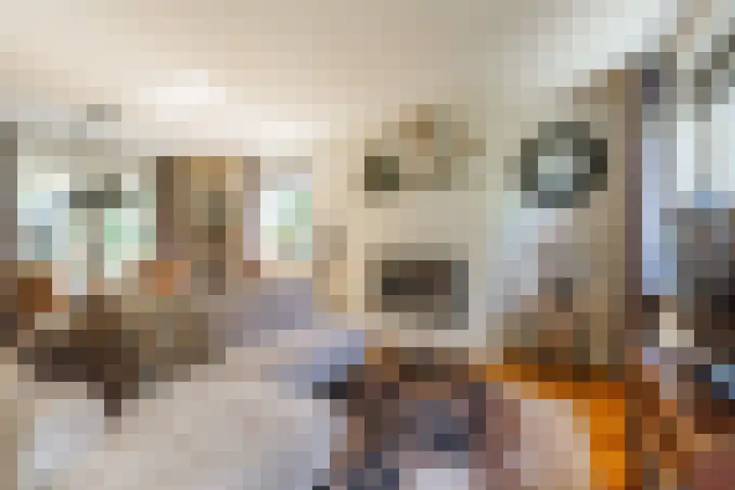 Hoekweg 24 Vroomshoop thumbnail 12
