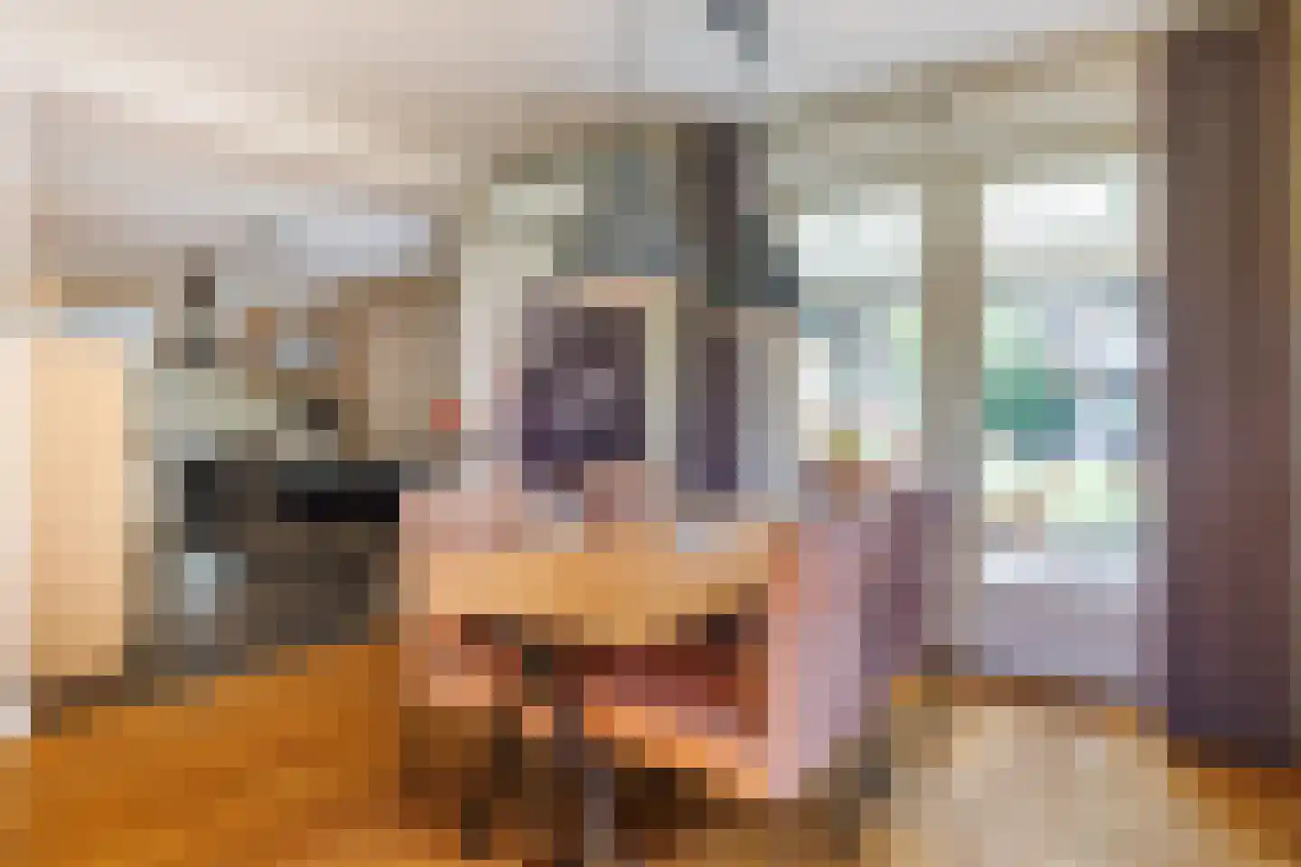 Hoekweg 24 Vroomshoop thumbnail 14