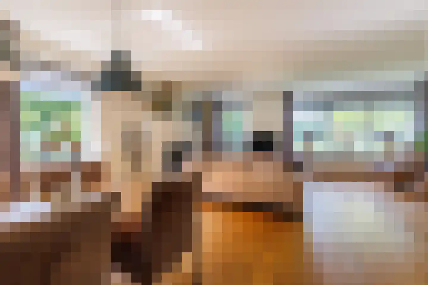 Hoekweg 24 Vroomshoop thumbnail 15