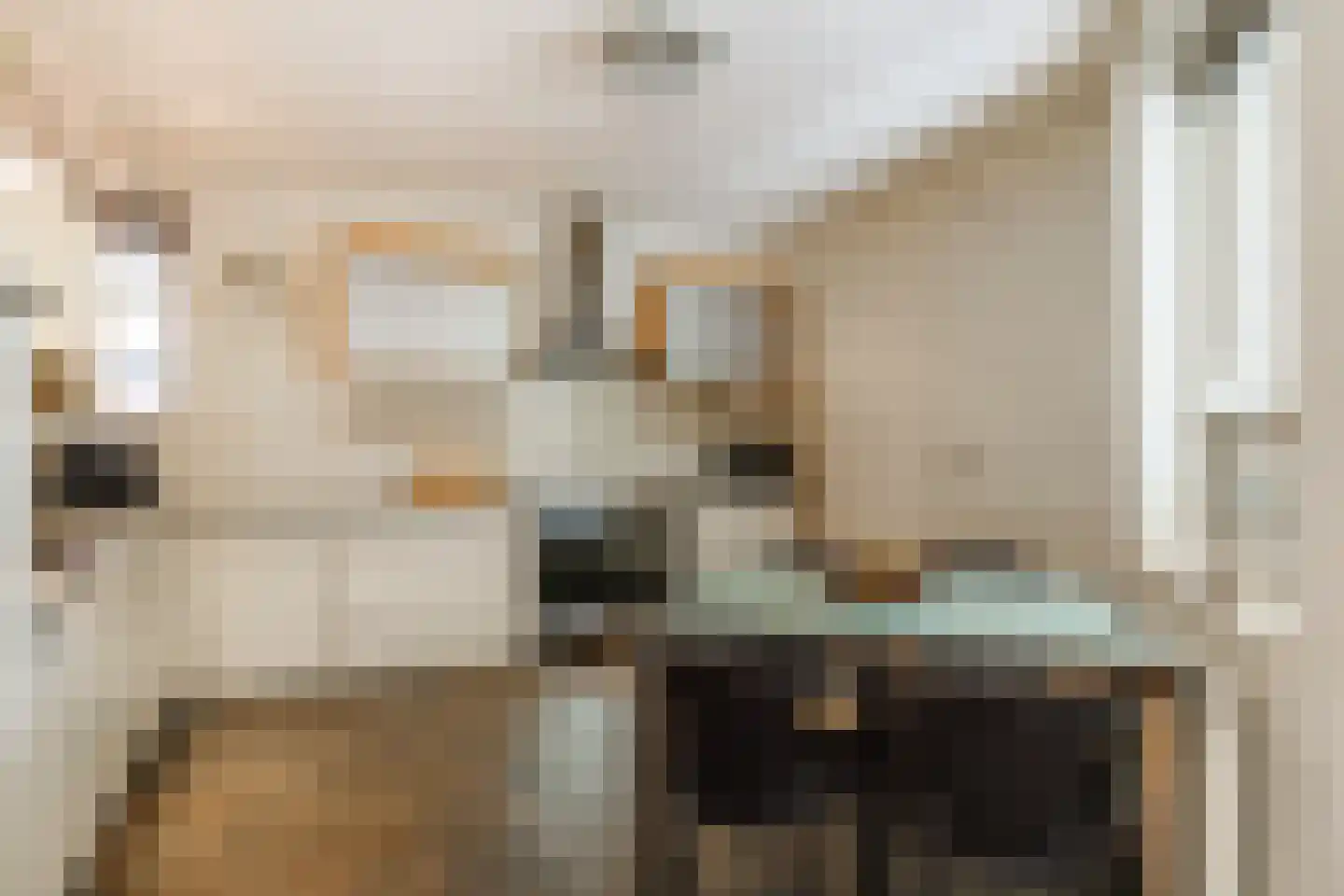 Hoekweg 24 Vroomshoop thumbnail 16