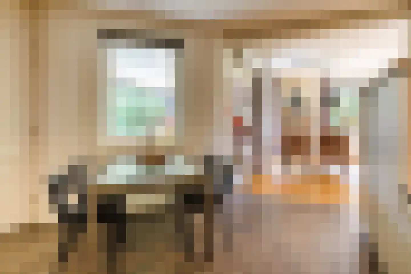 Hoekweg 24 Vroomshoop thumbnail 17