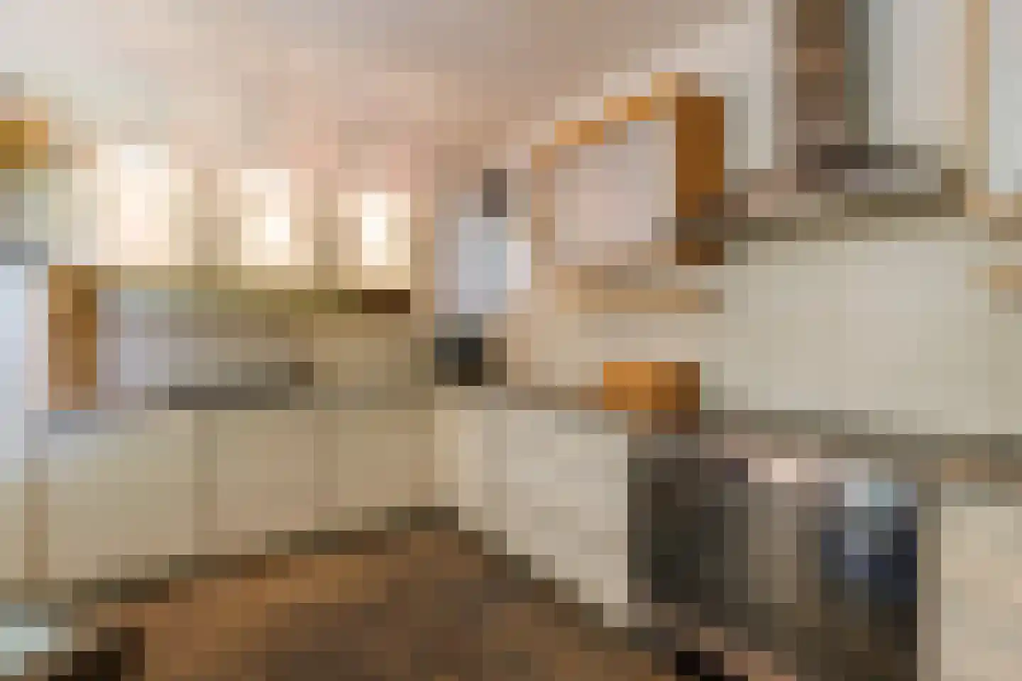 Hoekweg 24 Vroomshoop thumbnail 18