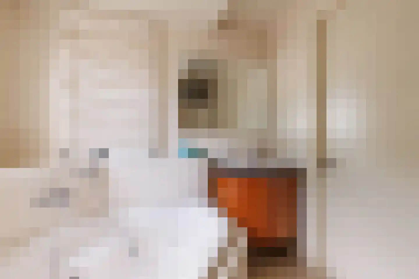 Hoekweg 24 Vroomshoop thumbnail 21