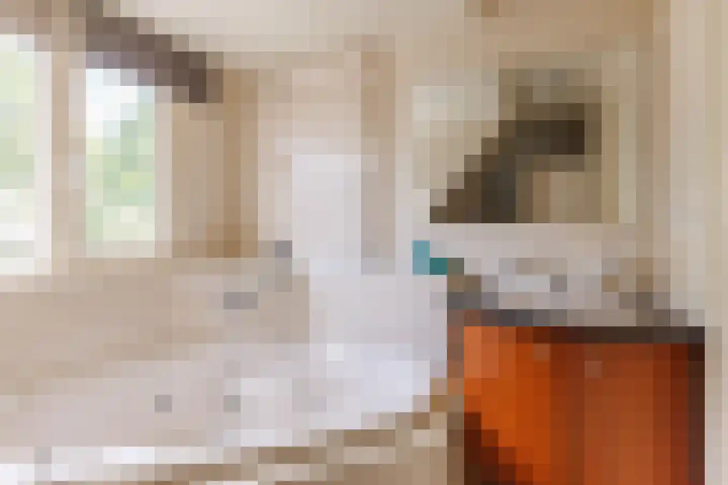 Hoekweg 24 Vroomshoop thumbnail 22