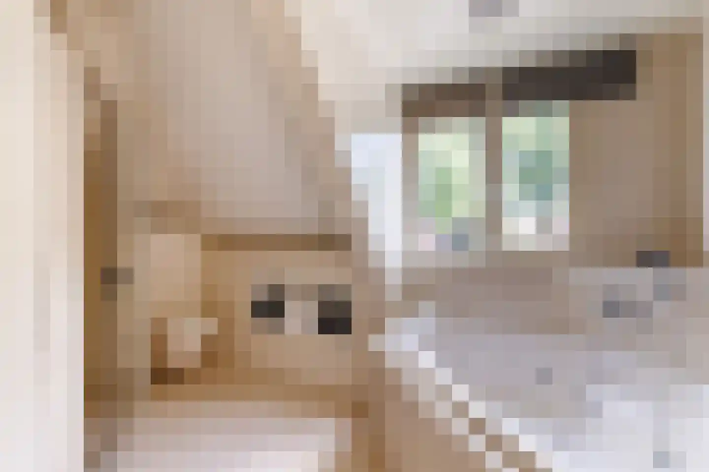Hoekweg 24 Vroomshoop thumbnail 23