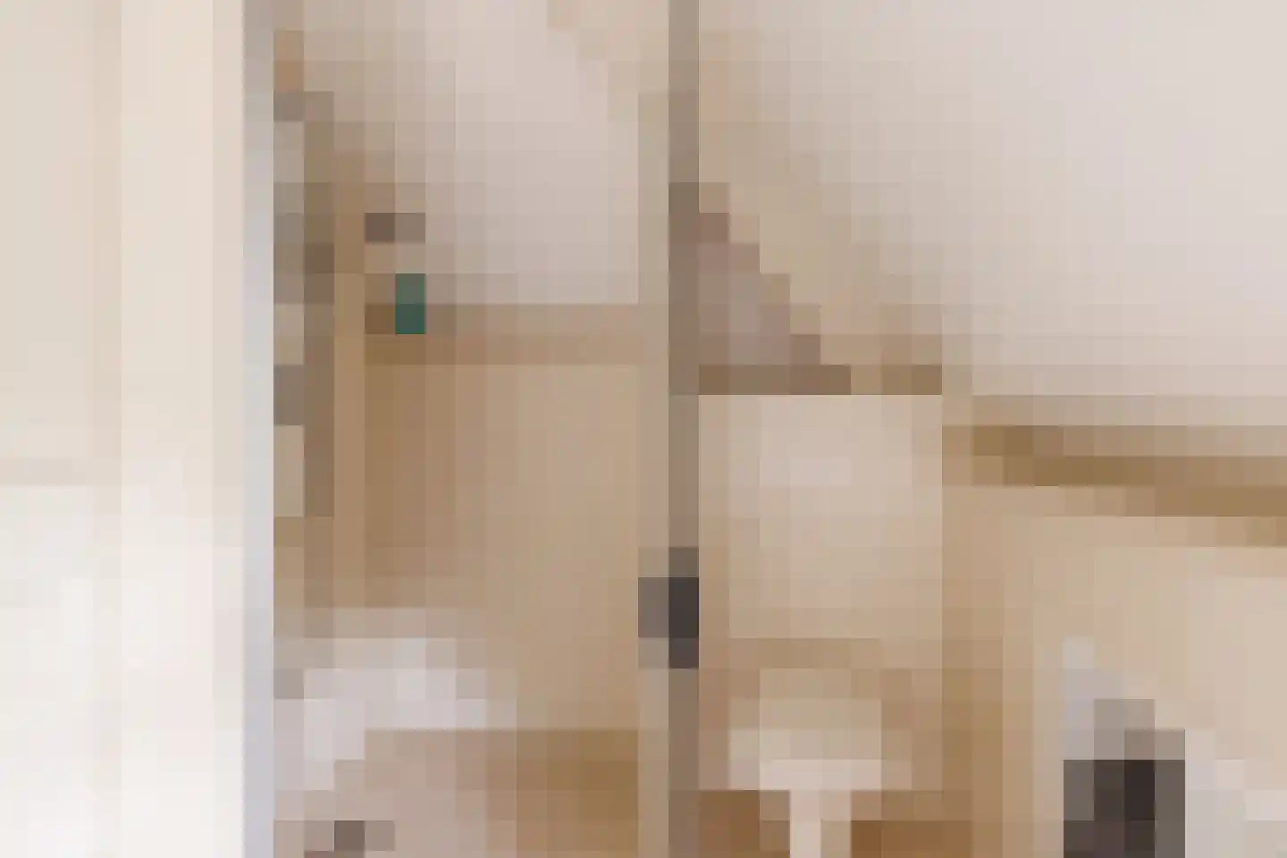 Hoekweg 24 Vroomshoop thumbnail 24