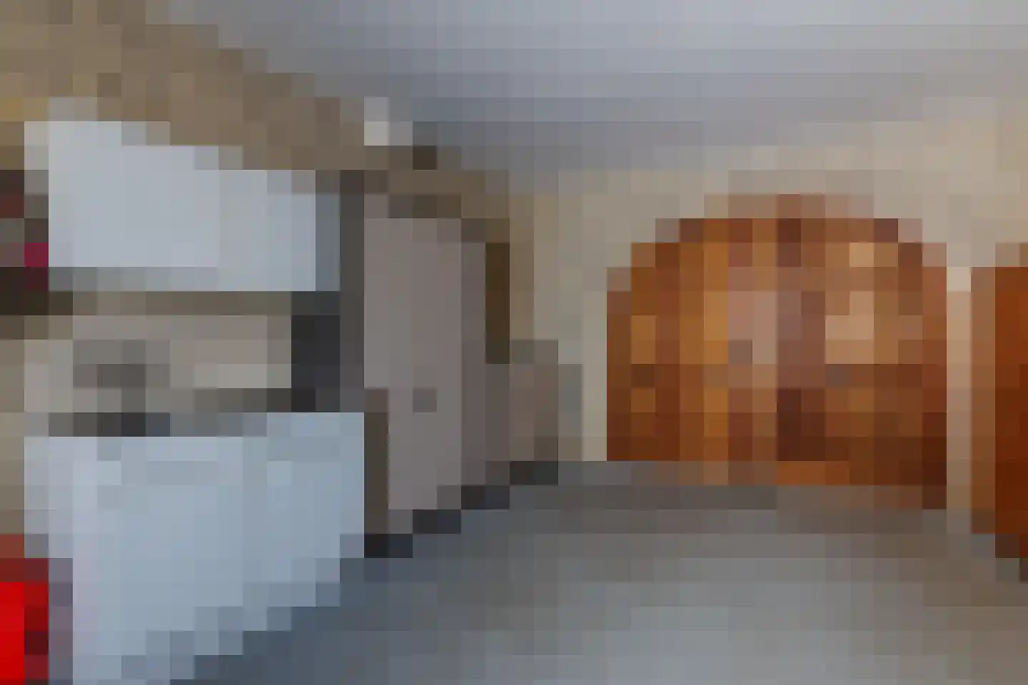 Hoekweg 24 Vroomshoop thumbnail 25