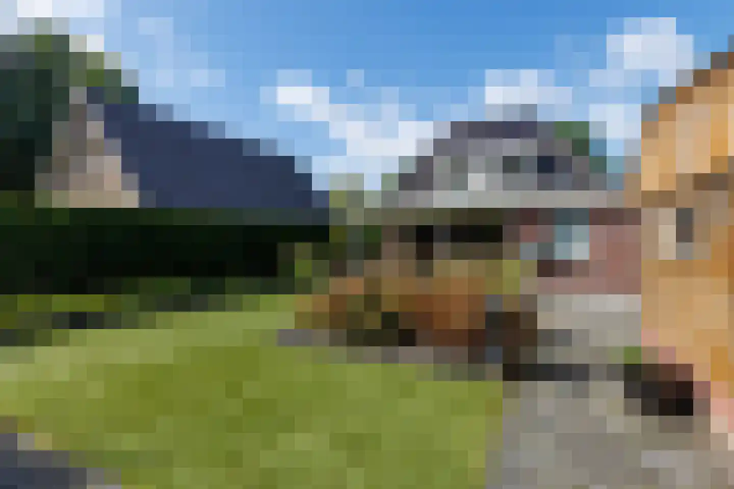 Hoekweg 24 Vroomshoop thumbnail 28