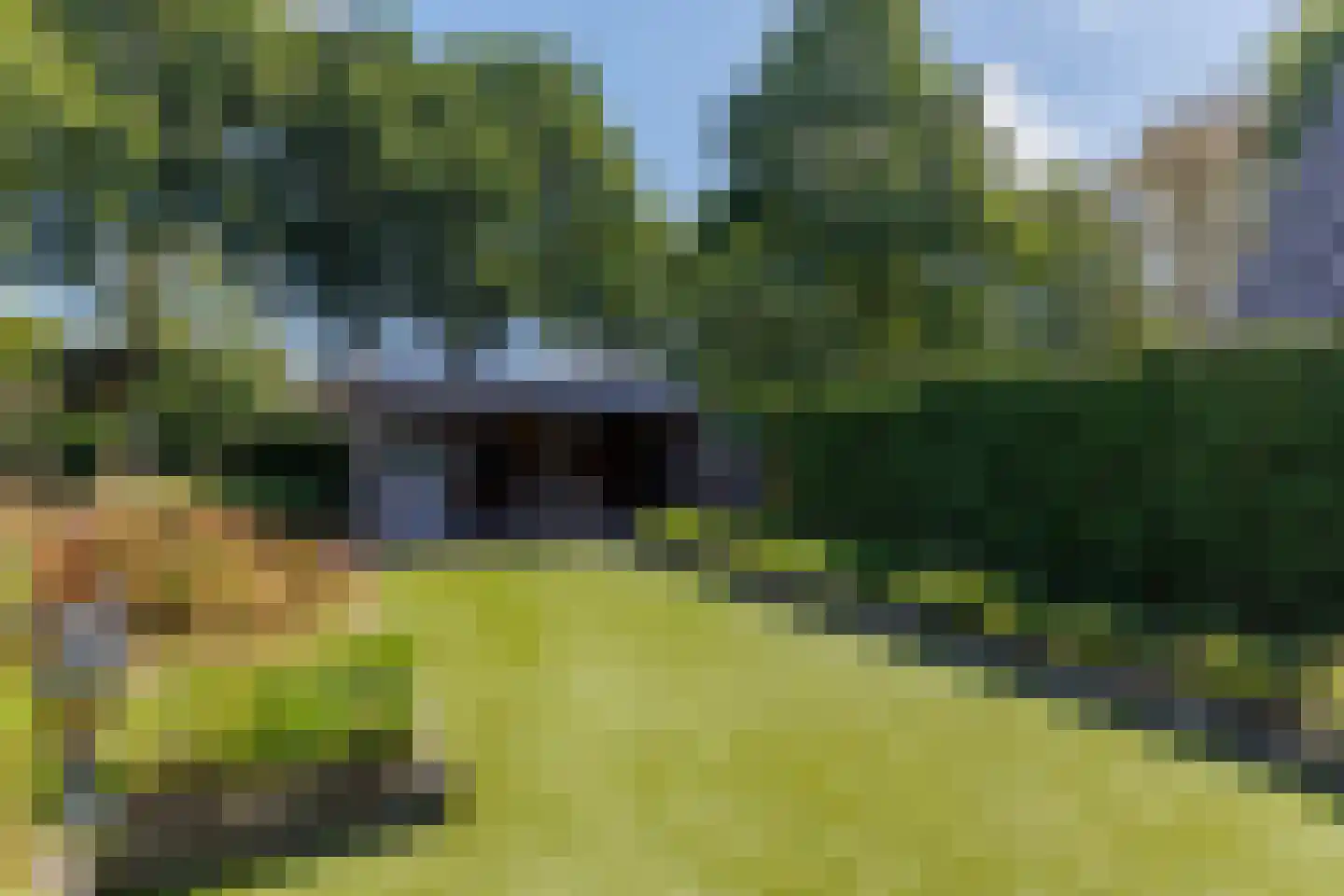 Hoekweg 24 Vroomshoop thumbnail 29