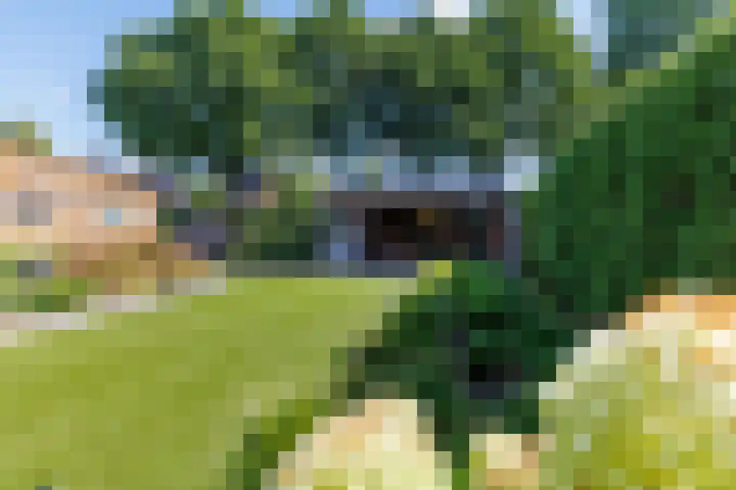 Hoekweg 24 Vroomshoop thumbnail 30