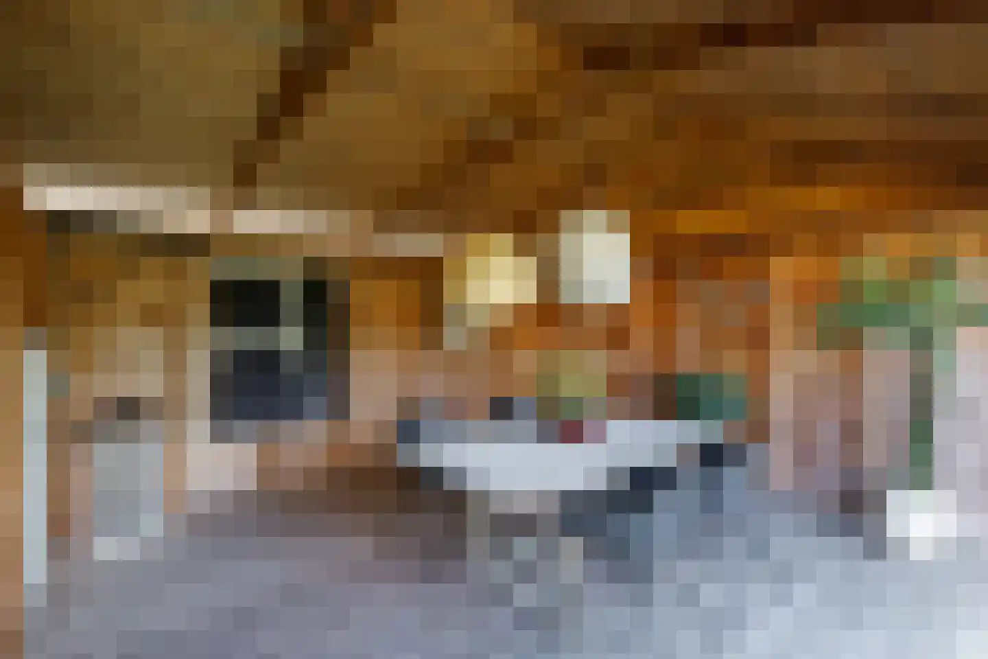 Hoekweg 24 Vroomshoop thumbnail 31