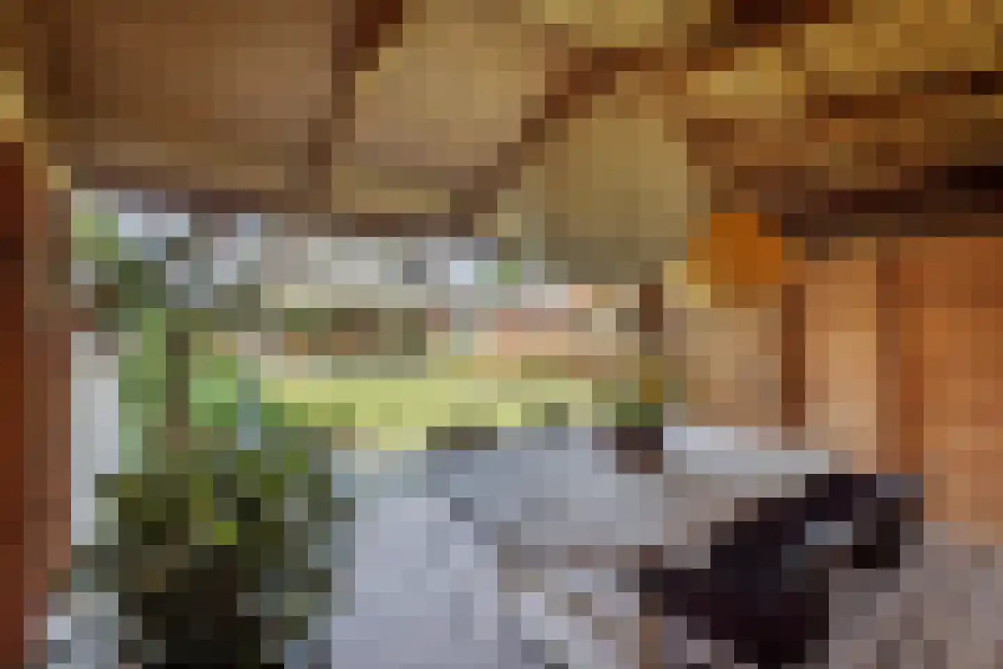 Hoekweg 24 Vroomshoop thumbnail 32