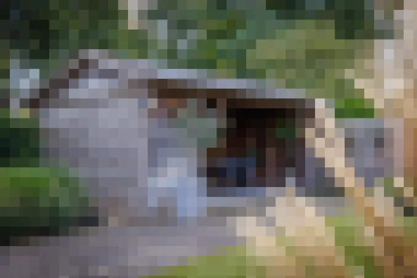 Hoekweg 24 Vroomshoop thumbnail 38