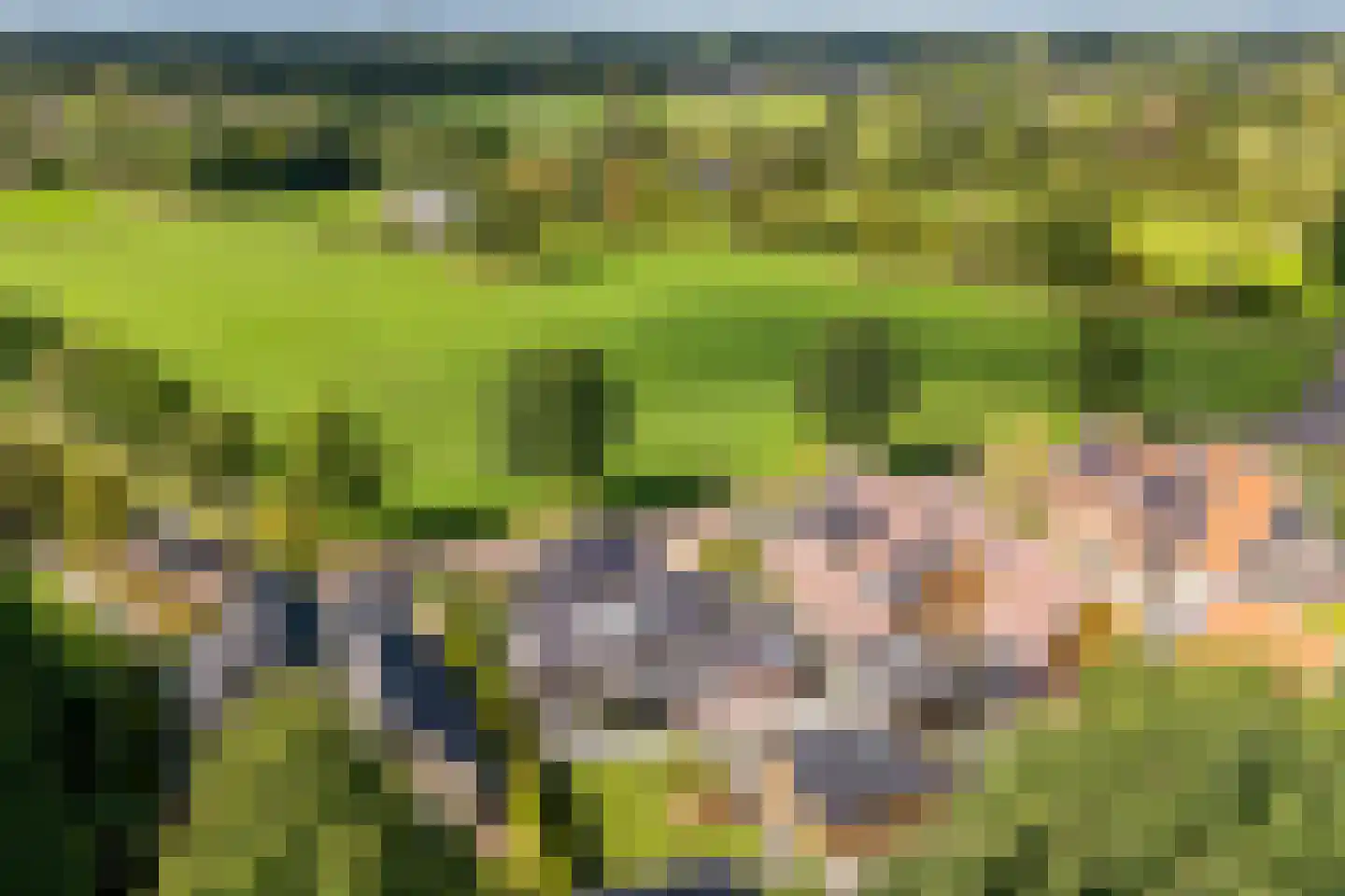 Hoekweg 24 Vroomshoop thumbnail 4