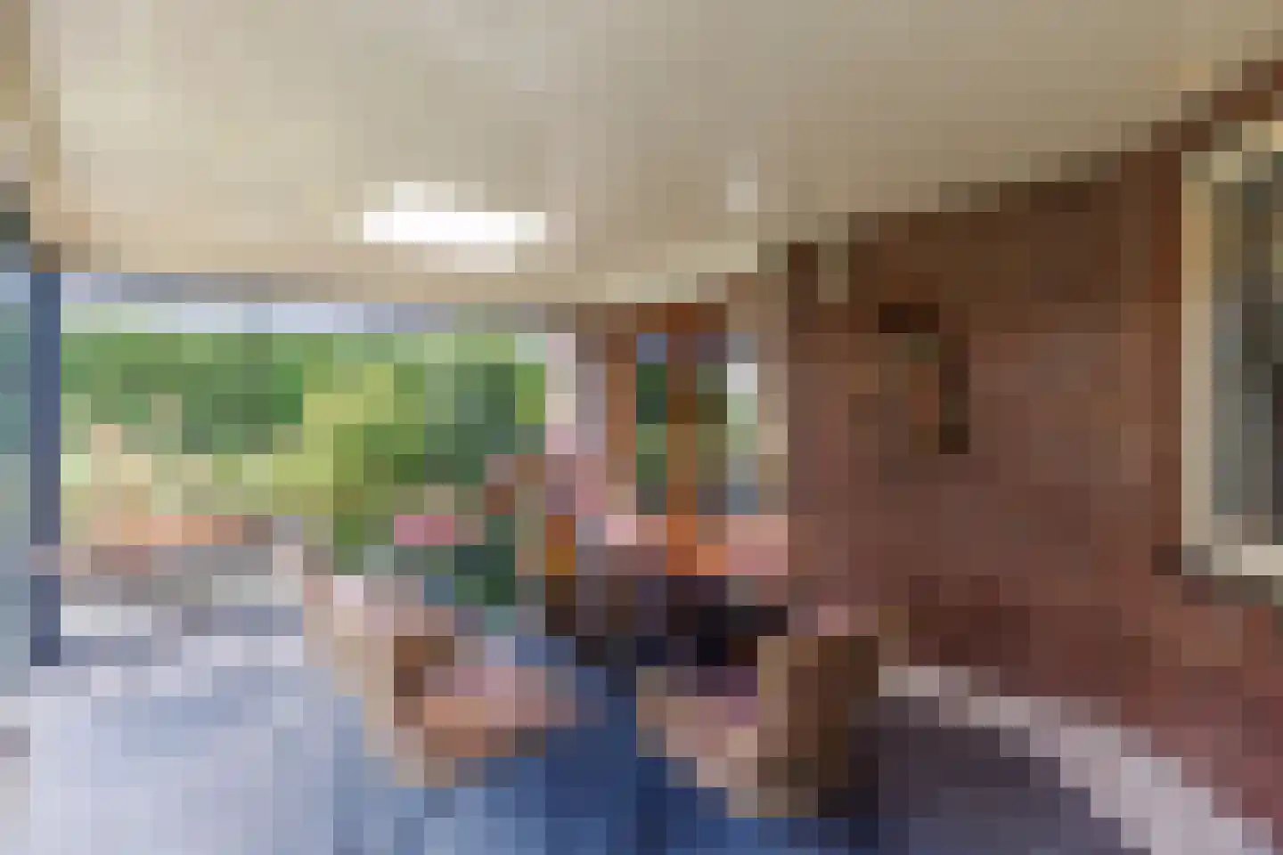 Hoekweg 24 Vroomshoop thumbnail 41