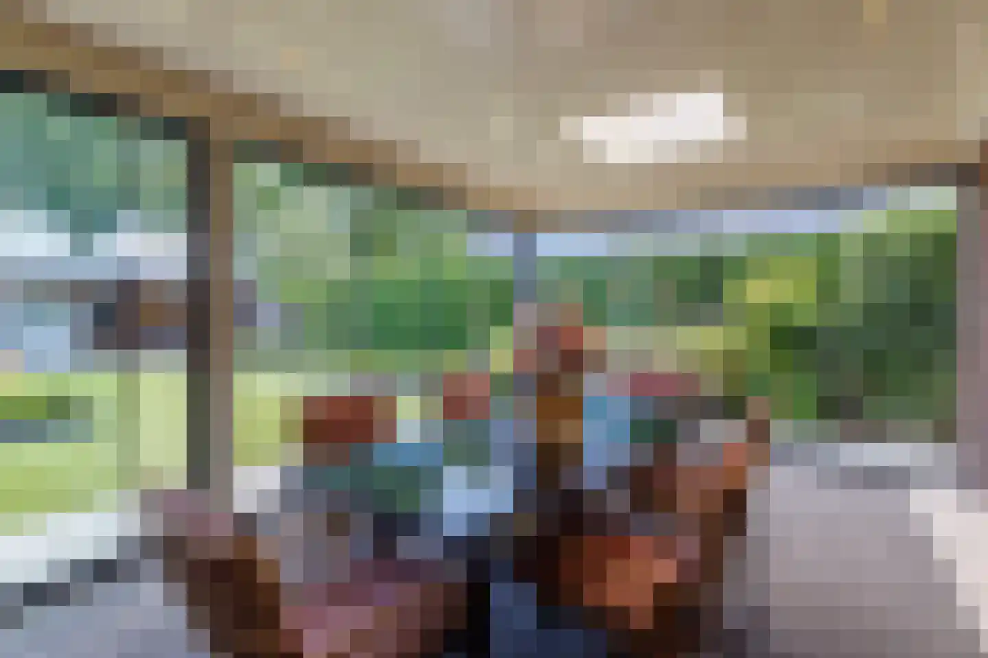 Hoekweg 24 Vroomshoop thumbnail 42