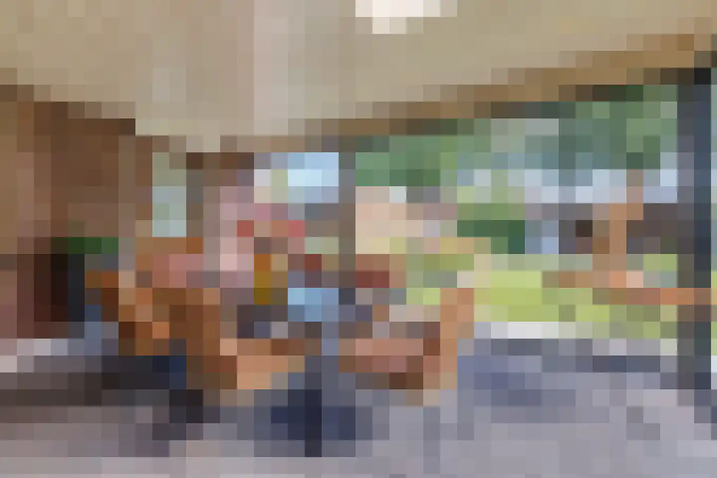 Hoekweg 24 Vroomshoop thumbnail 43