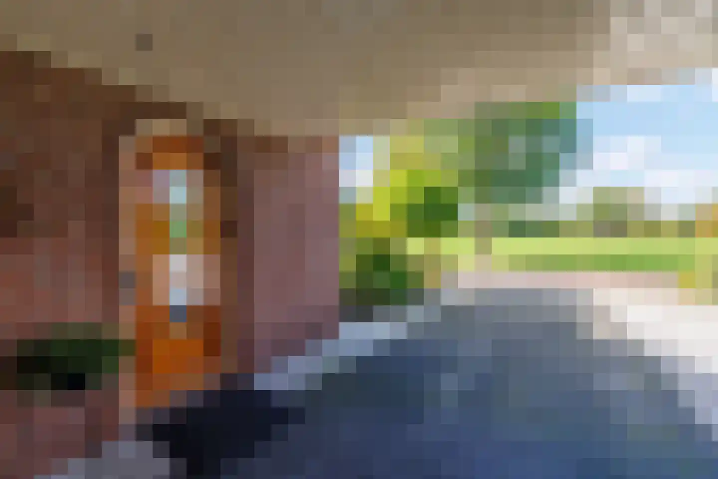 Hoekweg 24 Vroomshoop thumbnail 45