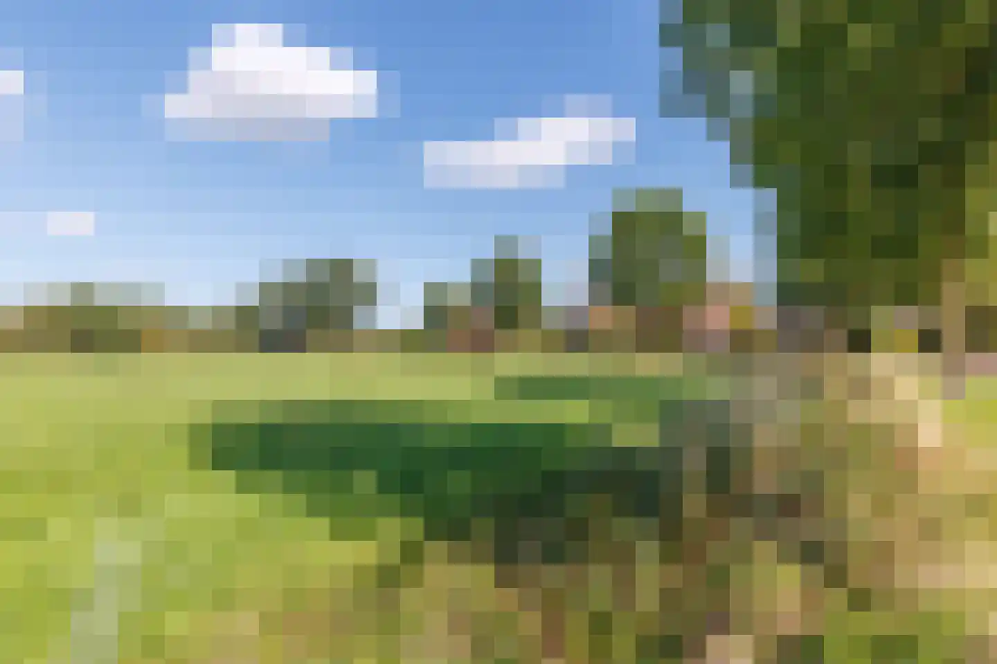 Hoekweg 24 Vroomshoop thumbnail 48