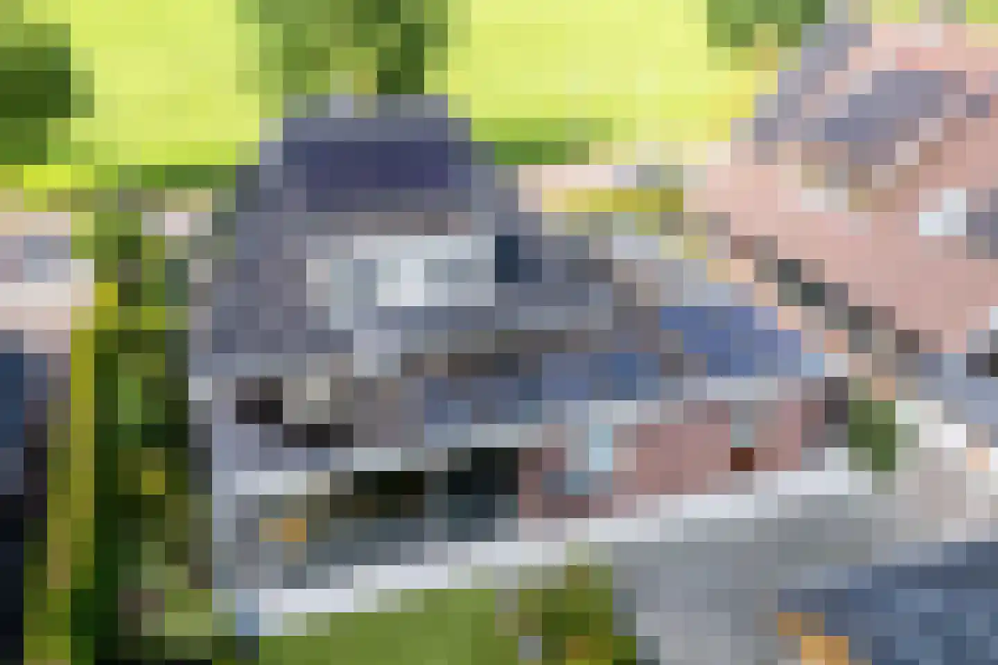 Hoekweg 24 Vroomshoop thumbnail 50