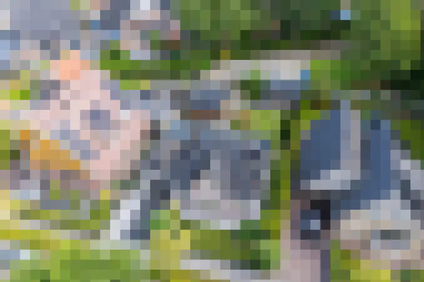 Hoekweg 24 Vroomshoop thumbnail 8
