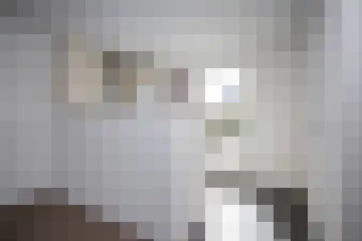 Hoekweg 3 Wijdenes thumbnail 13