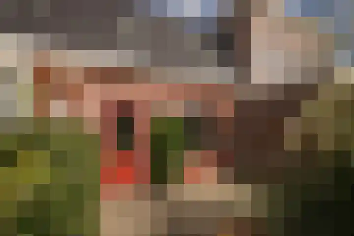 Hoekweg 3 Wijdenes thumbnail 27