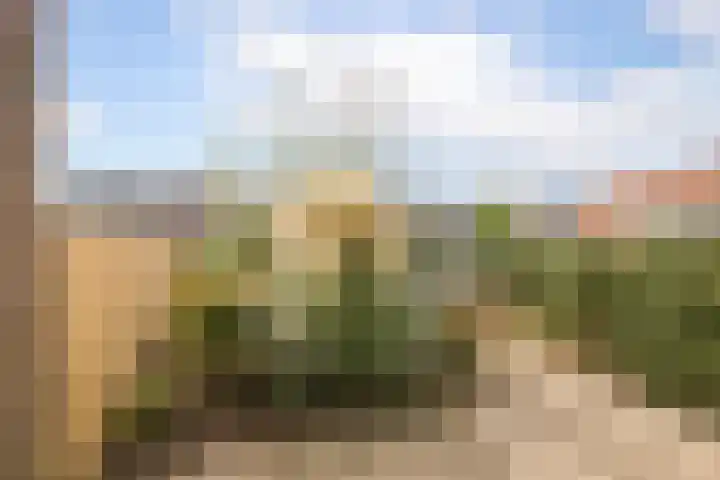 Hoekweg 3 Wijdenes thumbnail 29