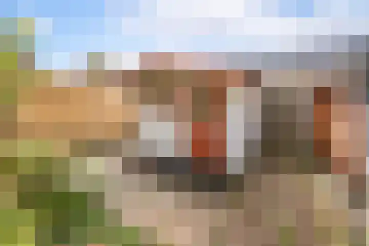 Hoekweg 3 Wijdenes thumbnail 31