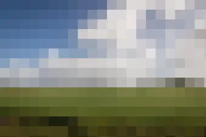 Hoekweg 3 Wijdenes thumbnail 34