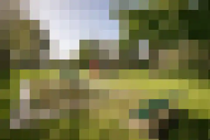 Hoekweg 3 Wijdenes thumbnail 35