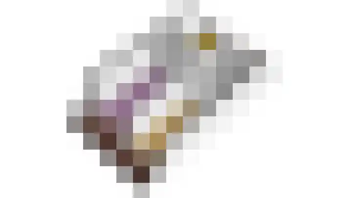 Hoekweg 3 Wijdenes thumbnail 48