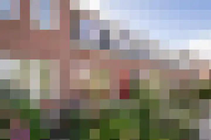 Hoekweg 3 Wijdenes thumbnail 5