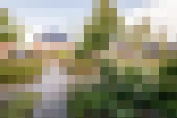 Hoekweg 3 Wijdenes thumbnail 6