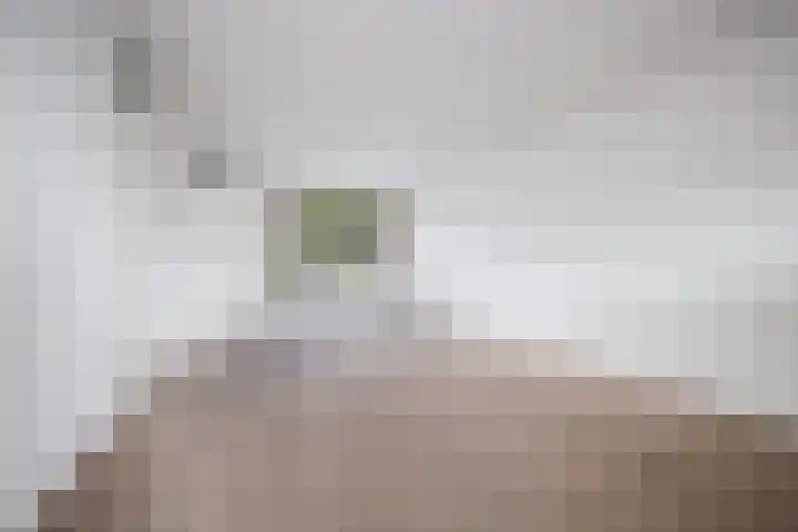 Hoekweg 3 Wijdenes thumbnail 8