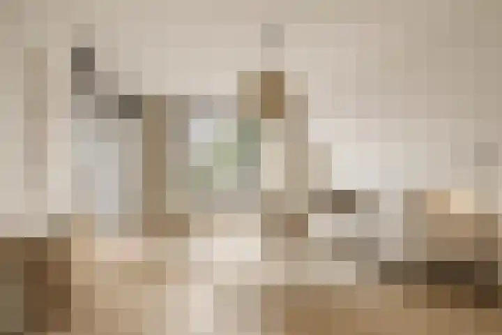 Hoekweg 3 Wijdenes thumbnail 9