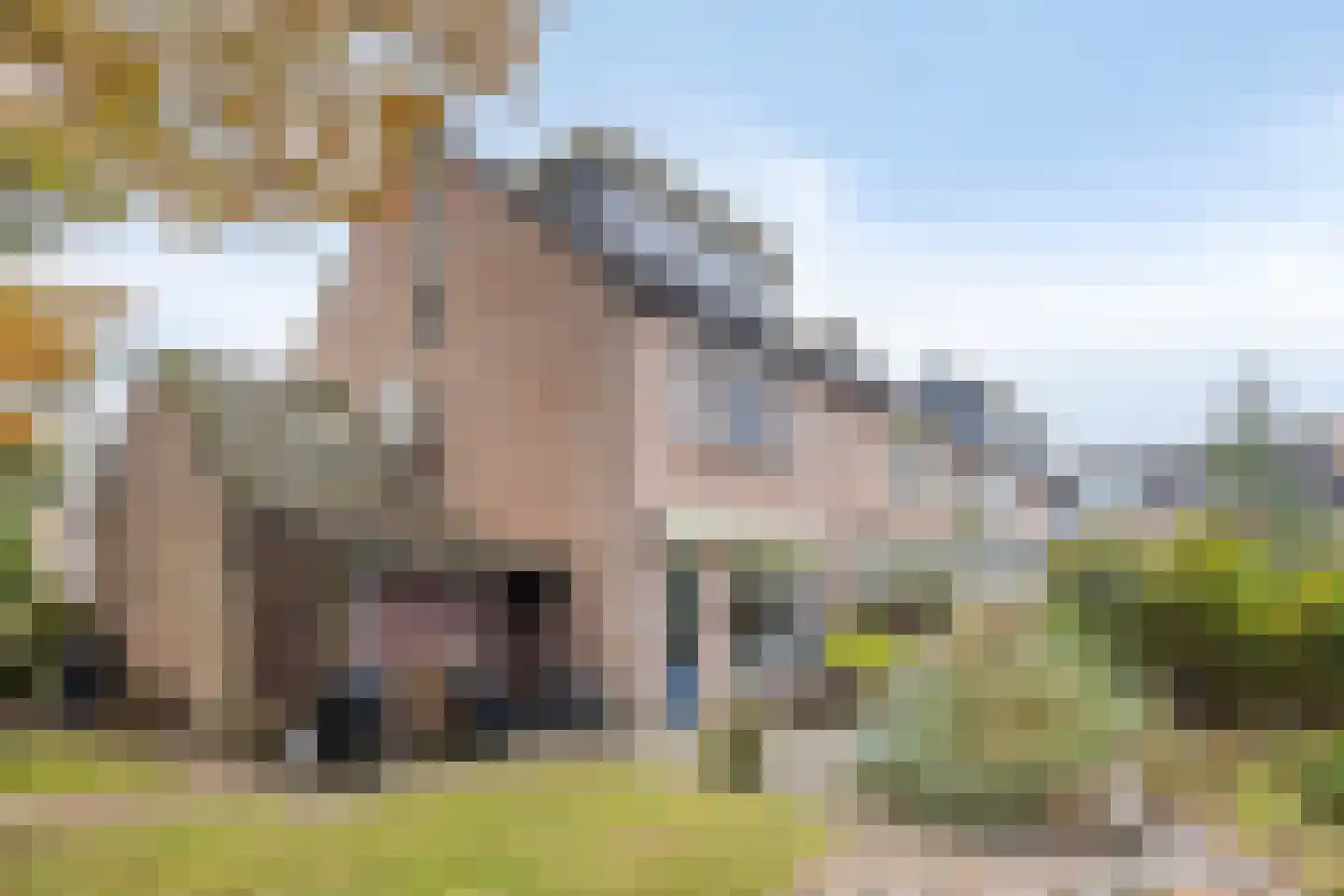 Hoekweg 32 Gennep thumbnail 25