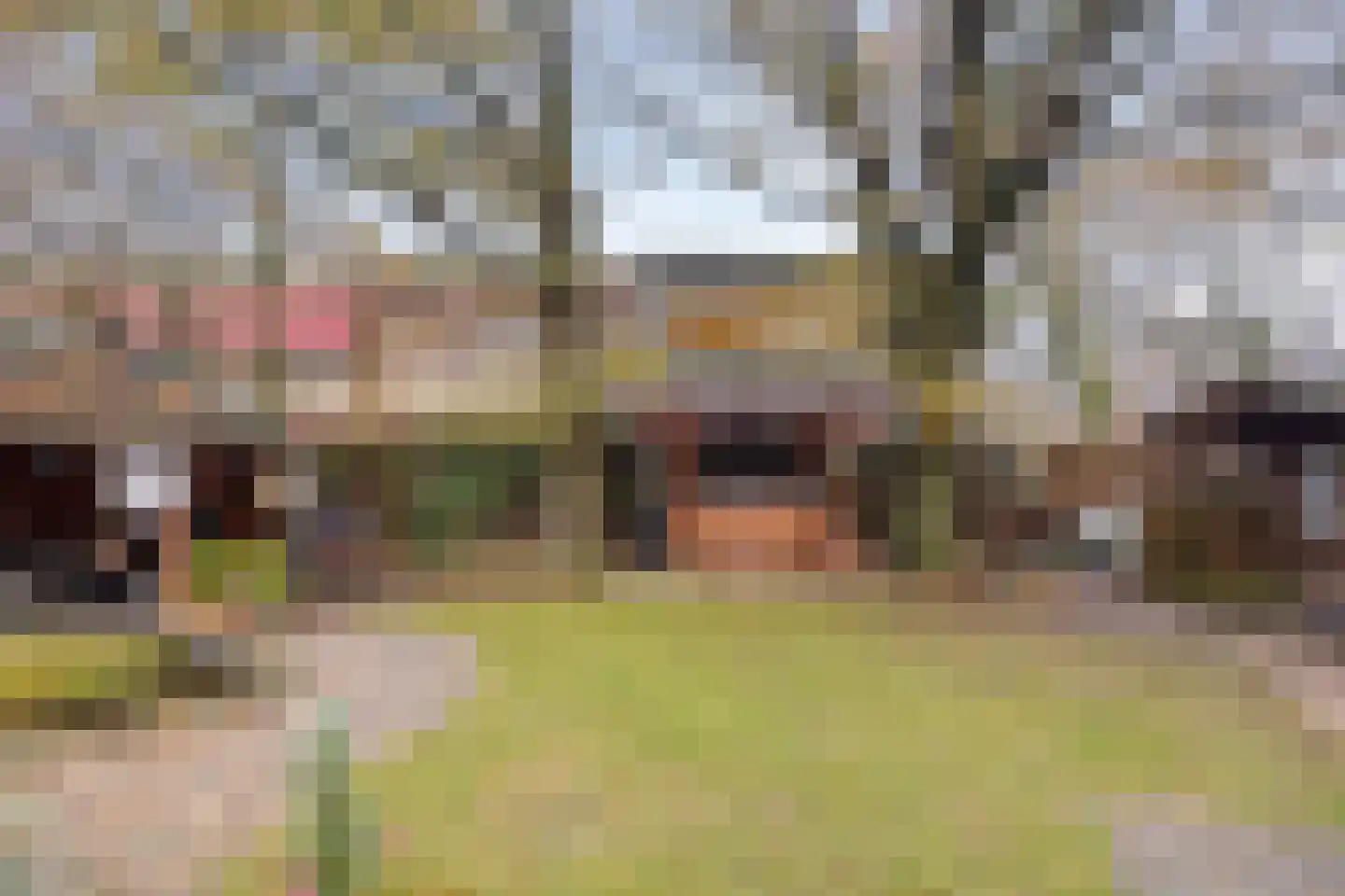 Hoekweg 32 Gennep thumbnail 26