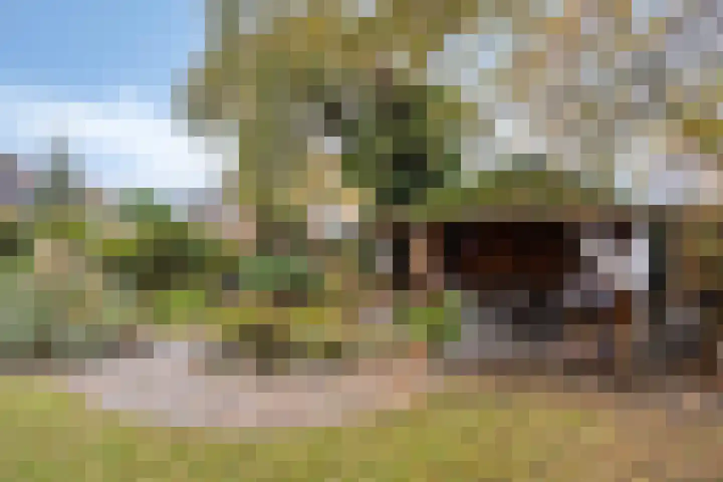 Hoekweg 32 Gennep thumbnail 29