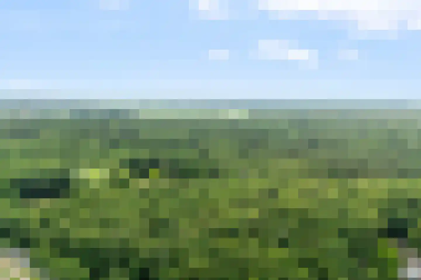 Hoekweg 32 Gennep thumbnail 30