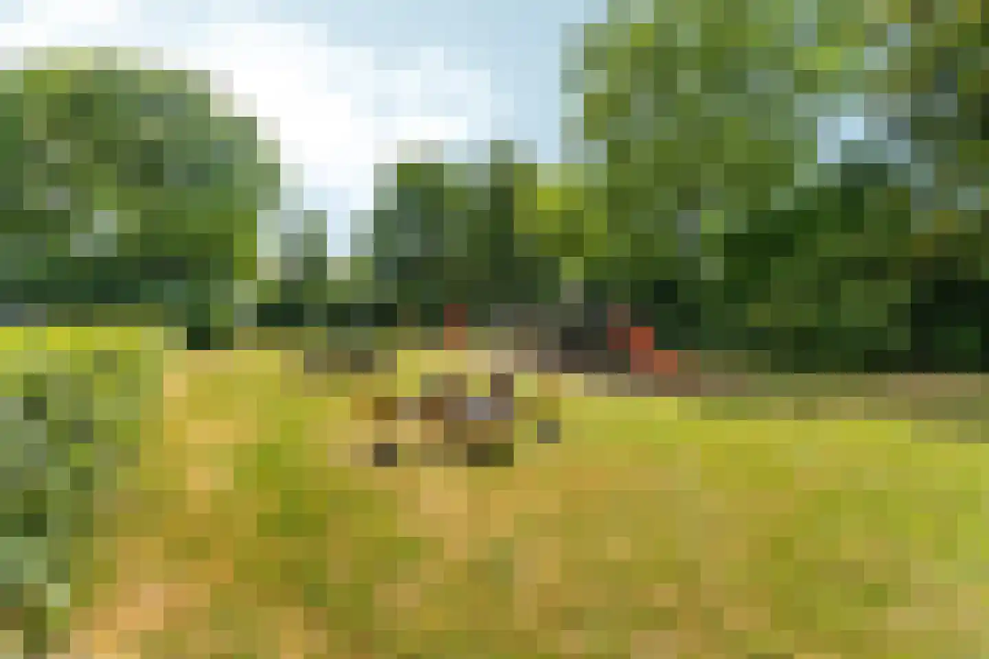Hoekweg 32 Gennep thumbnail 31