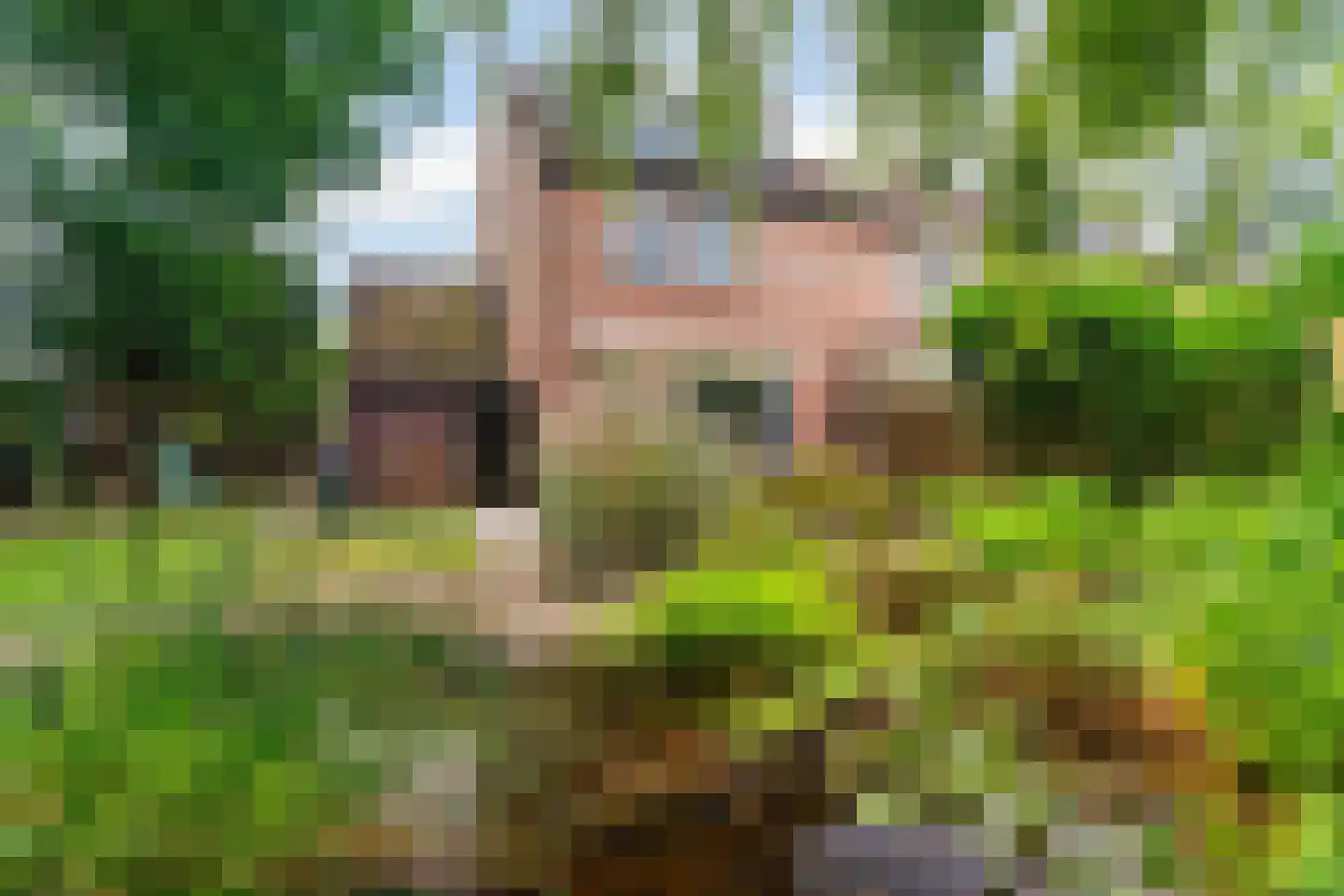 Hoekweg 32 Gennep thumbnail 4