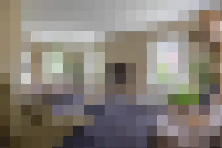 Hoekweg 33 Vroomshoop thumbnail 12