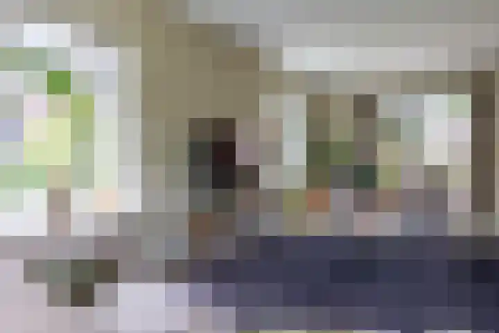 Hoekweg 33 Vroomshoop thumbnail 13