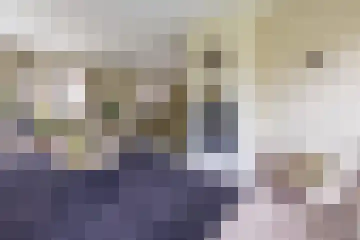 Hoekweg 33 Vroomshoop thumbnail 15